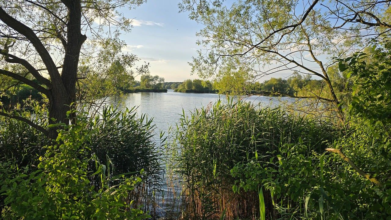 Freshwater Lakes